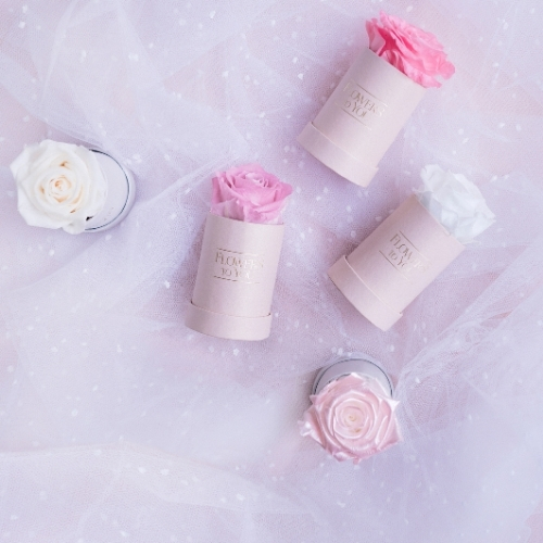 FLOWERS TO YOU (6)
