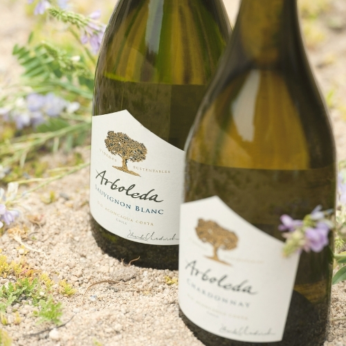 WORLD WINE BY HELPBAR (1)