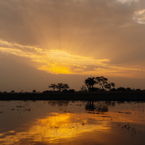 Eagle Island Lodge, A Belmond Safari (1)
