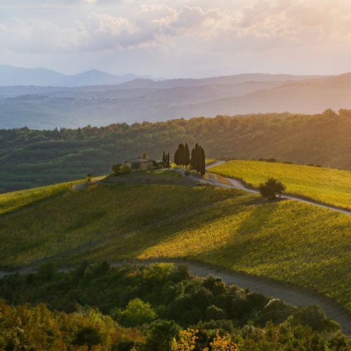 Rosewood Castiglion del Bosco (1)